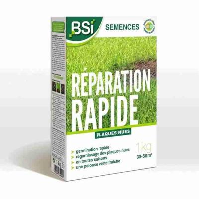 BSI - Graszaad - Snelle reparatie - Met beschermende coating - Hoge kwaliteit - tot 50m² - 1Kg