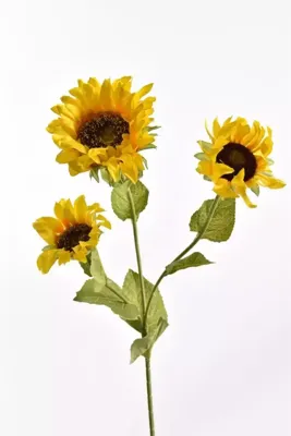 Pure Royal kunsttak zonnebloem 68cm geel