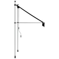 VidaXL Luifel handmatig uittrekbaar 100 cm antraciet - thumbnail