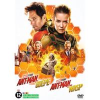 Ant Man & The Wasp (DVD) - thumbnail