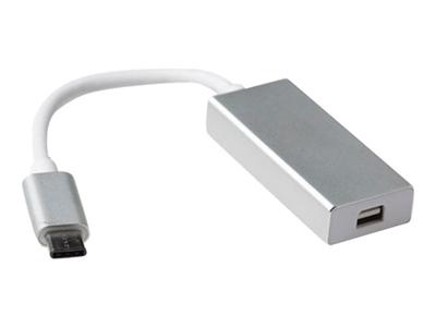 USB-C naar Mini DisplayPort female adapter ACT SB0021