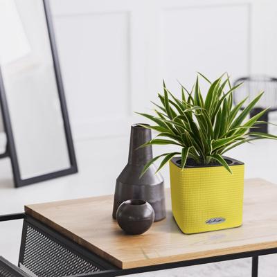 Chlorophytum S kunstplant 30cm in 10cm pot