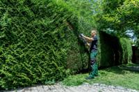 Metabo HS 18 LTX BL 65 Heggenschaar Accu Zonder accu, Zonder lader 18 V 650 mm - thumbnail