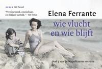 Wie vlucht en wie blijft - Elena Ferrante - Dwarsligger (9789049806842) - thumbnail