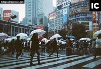 Kodak FunSaver flash wegwerpcamera, kleurenfilm en flitser, 27 foto's, ISO 400 - thumbnail