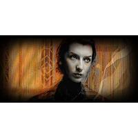 Hunter: The Reckoning 5th Edition RPG book Game Core Rulebook *Englische Version* - thumbnail