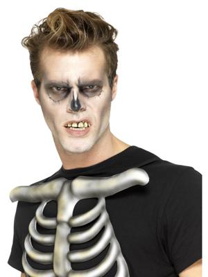 Skelet gebit Skelet gebit