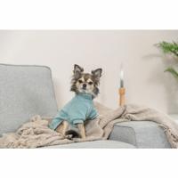 Hondentrui Trixie Littleton Menta XS, merk: Trixie - EAN: 4053032675414 - thumbnail
