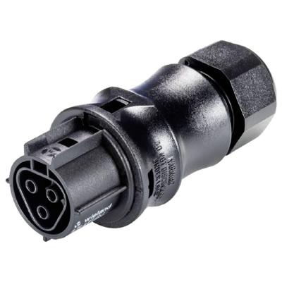 Wieland Electric 96.031.4153.1 Steekverbinder Zwart
