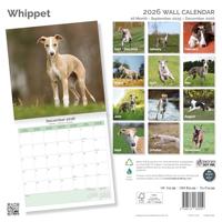Whippet Kalender 2026 - thumbnail