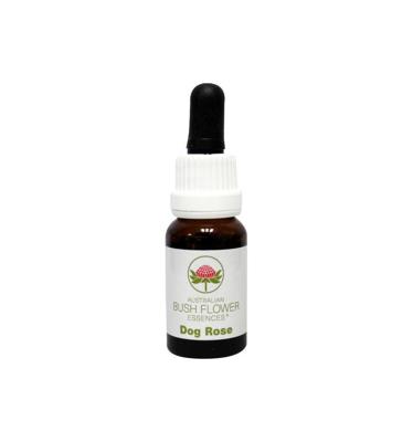 Australian Bush Dog rose 15 Milliliter