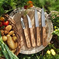 Opinel Keukenmessen - essentials - 4-delig - thumbnail
