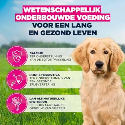 EUKANUBA Puppy L XL Rich in lamb & rice - droog hondenvoer - 12kg