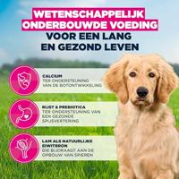 EUKANUBA Puppy L XL Rich in lamb & rice - droog hondenvoer - 12kg - thumbnail