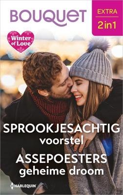 Sprookjesachtig voorstel / Assepoesters geheime droom - Jessica Gilmore, Jessica Hart - ebook