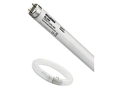 Philips UV-lamp G5 8 W (Ø x l) 16 mm x 302.5 mm 60 V Energielabel: A (A - G) 1 stuk(s) Philips UV-lamp G5 8 W (Ø x l) 16 mm x 302.5 mm 60 V Energielabel: A (A - G) 1 stuk(s)