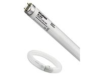 Signify UV-lamp G5 8 W (Ø x l) 16 mm x 302.5 mm 60 V 1 stuk(s) - thumbnail