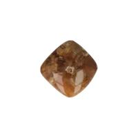 Vierkante Handsteen / Oplegsteen Versteend Hout - thumbnail