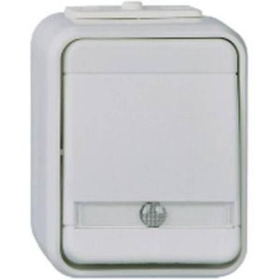 ELSO-toets ELG442619 bel. 10A licht/basisgrijs Grijs 1 stuk(s) ELSO-toets ELG442619 bel. 10A licht/basisgrijs Grijs 1 stuk(s)