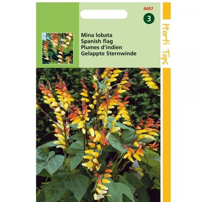 Zaden Mina Lobata Spaanse vlag Quamoclit Hortitops - Hortitops
