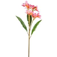 PTMD kunstbloem plumeria roze 70 cm | 12 stuks - thumbnail
