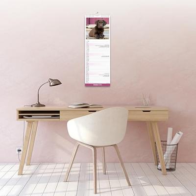 Labrador Retriever Bruin Kalender 2026 Slimline Labrador Retriever Bruin Kalender 2026 Slimline