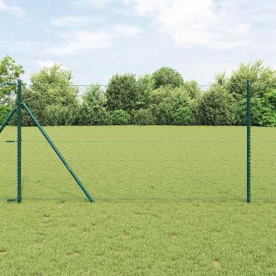 Hexagon Hek Groen 1.4 x 25 m Staal