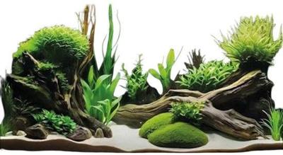 Deco poster g6 150x61 cm SuperFish - Superfish Deco poster g6 150x61 cm SuperFish - Superfish