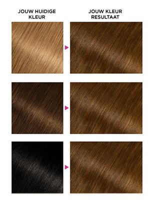 Garnier Olia 5.3 Licht Goudbruin