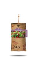 Baza hangtuintje reuze aardbei - thumbnail