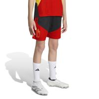 adidas België Trainingsbroekje 2026-2028 Kids Zwart Geel Rood - thumbnail