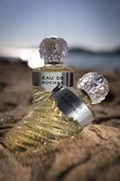 Rochas Eau de Rochas Eau de Toilette 100ml - thumbnail