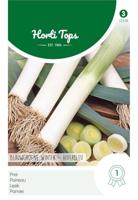 Zaden Prei Blauwgroene Winter Sel. Hiverbleu Hortitops - Hortitops - thumbnail