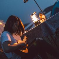 Draadloze lantaarn - LUMISKY - WILDY - H23 cm - Touwhandvat - Warmwitte en dimbare LED - thumbnail