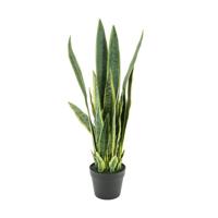 By-Boo Kunstplant 'Sansevieria' 78cm hoog - thumbnail