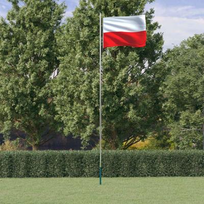 VidaXL Vlag met vlaggenmast polen 6,08 m aluminium VidaXL Vlag met vlaggenmast polen 6,08 m aluminium