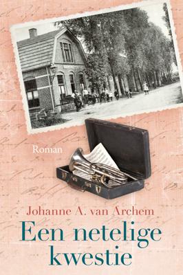 Een netelige kwestie - Johanne A. van Archem - ebook