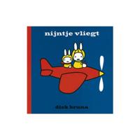 Dick Bruna Nijntje vliegt - thumbnail