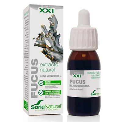 Fucus vesiculosus XXI