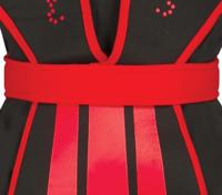 Shadow Dragon Ninja pak kind - thumbnail