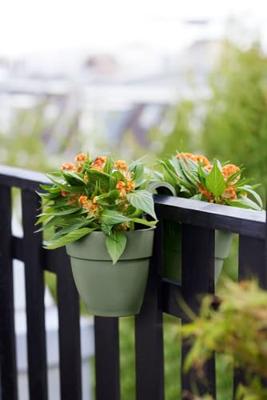 Elho vibia Campana flower twin 21 cm Pistachegroen - thumbnail