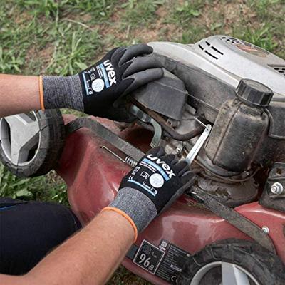 uvex phynomic XG 6007008 Werkhandschoen Polyamide Maat (handschoen): 8 EN 388 1 stuk(s)