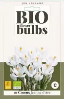 Crocus Jeanne d'Arc bloembollen 10 bollen Krokus JUB - Jub - thumbnail