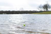 Dog Comets Glow in the Dark Moon Green S - thumbnail