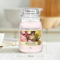 Yankee Candle 1038367E kaars Rond Roze 1 stuk(s) - thumbnail