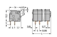 WAGO 255-424 Veerkrachtklemblok 2.50 mm² Aantal polen 24 Grijs 40 stuk(s) - thumbnail
