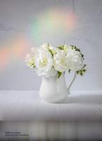 LensBaby OMNI Creative Filter System voor filtermaat 49-58mm - thumbnail