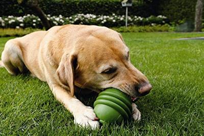 Beeztees BZ SUMO PLAY S GRN 6X6X8 Beeztees Sumo Play - Hondenspeelgoed - Rubber - Groen - S, S, Groen
