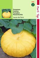 Zaden Pompoenen Jaune de Paris (Centenaar) Hortitops - Hortitops - thumbnail