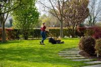 Stiga Collector 48 S AE Kit Accu Grasmaaier | 5 serie | 1,3 kW | 46 cm | zelfrijdend | ergo | inclusief 1x 5Ah accu en lader - 2L0482008/ST1 - thumbnail